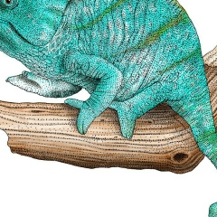 Мария Котова, 10.06.1992, Москва