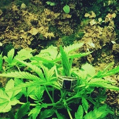 Нурсеит Нургазиев, 01.05.1994, Актау