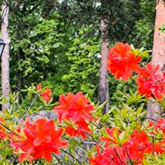 Надежда Михайлюк, Нальчик