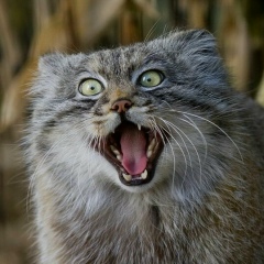 Андрей Иванченко, 06.12.1988, Казань