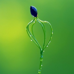 Юлия Медведева, 01.11.1979, Санкт-Петербург