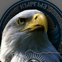 Кыргыз Кыргызов, 05.08.1993