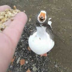 Константин Гусев, 03.07.1979, Санкт-Петербург