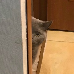 Екатерина Цой, 07.01