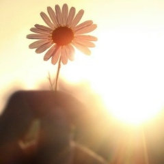 Салю Лучик, 06.06