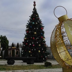 Светлана Мальцева, 31.08, Москва