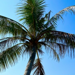 Иван Ластовецкий, 29.06.1988, Алматы