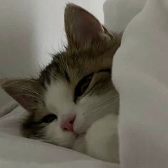 Арайка Ибраева, 14.08.1992, Шымкент