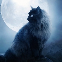 Myr Ziik, 10.08.1986, Туртино