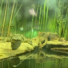 Анна Котова, 08.08, Москва