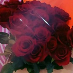 Аурика Черкасская, Санкт-Петербург