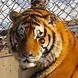 Иван Старовойтов, 28.05, Москва