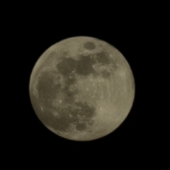 Иван Федоров, 18.07.1986, Пенза