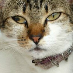 Klinger Maciel, 21.10, Manaus