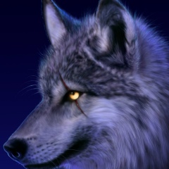 Ali Sydykov, 03.07, Москва