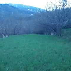 Айгерим Дилдабекова, 06.10.1991, Алматы