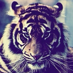 Илья Мицук, 24.01.1990, Ессентукская