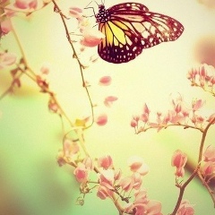 Абдул Манапова, 29.08.1988, Махачкала