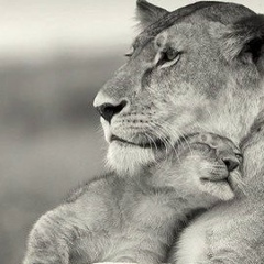 Аскар Куренбеков, 18.02.1988, Алматы