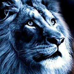 Янна Верес, 10.08