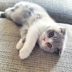 Лилия Агзамова, 07.04, Екатеринбург