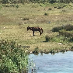 Евгений Климов, Москва