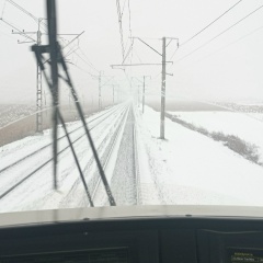 Алекс Сова, 25.03.1985