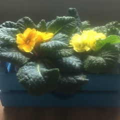 Наталья Захарова, 06.03.1956, Санкт-Петербург