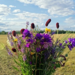 Динара Юнусова, 11.12, Магнитогорск