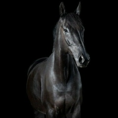 Саламат Суртаев, 11.04.1992, Алматы