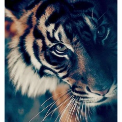 Нина Мурзина, 09.08.1986, Назарово