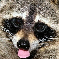 Alexander Galanichev, 27.08, Москва