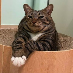 Сэсэг Хихаева, 24.02, Улан-Удэ