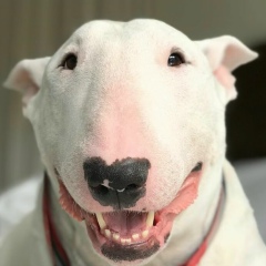 Александр Козлов, 11.11.1978, Рыбинск