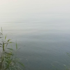 Герман Титов, Москва