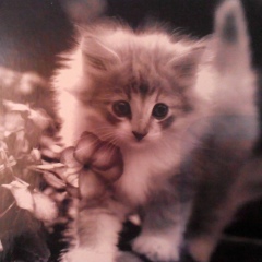 Анастасия Мокринская, 10.02, Санкт-Петербург