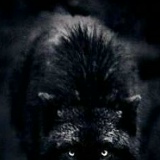 Faiz P, Челябинск