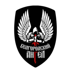 Алексей Богомолов, Губкин