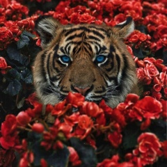 Aida Shmanova, 03.06, Алматы