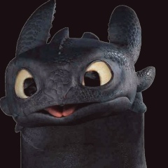 Анвар Идыров, Алматы