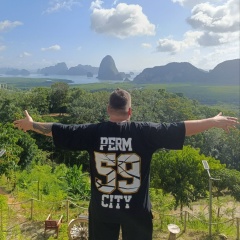 Александр Недоступов, Пермь