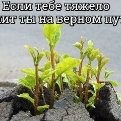 Надежда Степанова, Москва