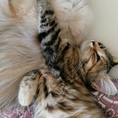 Антон Зайцев, 24.07.1989, Москва