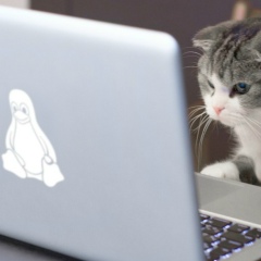 Unknown Unknown, 01.01.1901, Boston