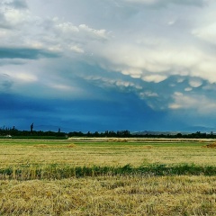 Muhriddin Jobirov, 24.03.1991, Санкт-Петербург