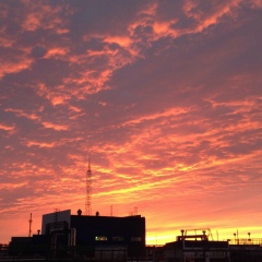 Макс Бобров, 30.01.1985, Губкинский