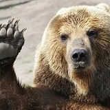 Сергей Шаповалов, 03.06.1986, Луганск