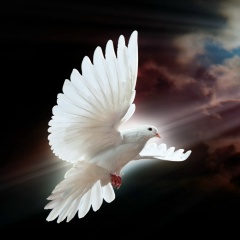 Анна Волошинова, 23.12