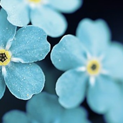 Aknur Danyshbaeva, 19.05