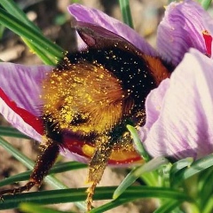 Елена Васечко, 03.08